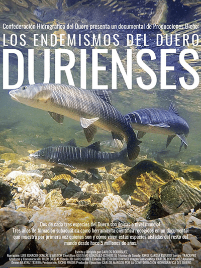 Durienses