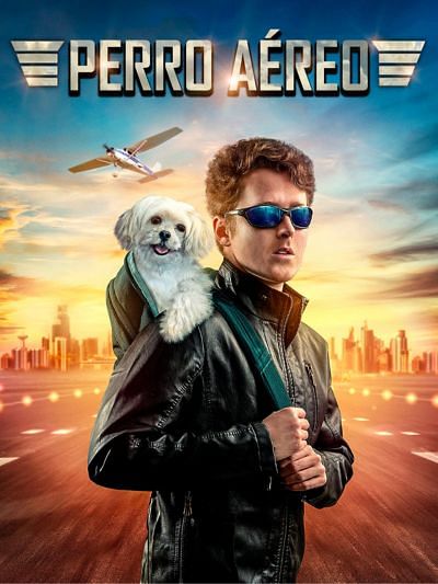 Perro aéreo