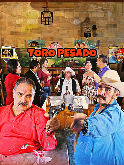 Toro pesado